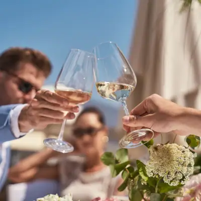 A group of people clinking wine glasses.