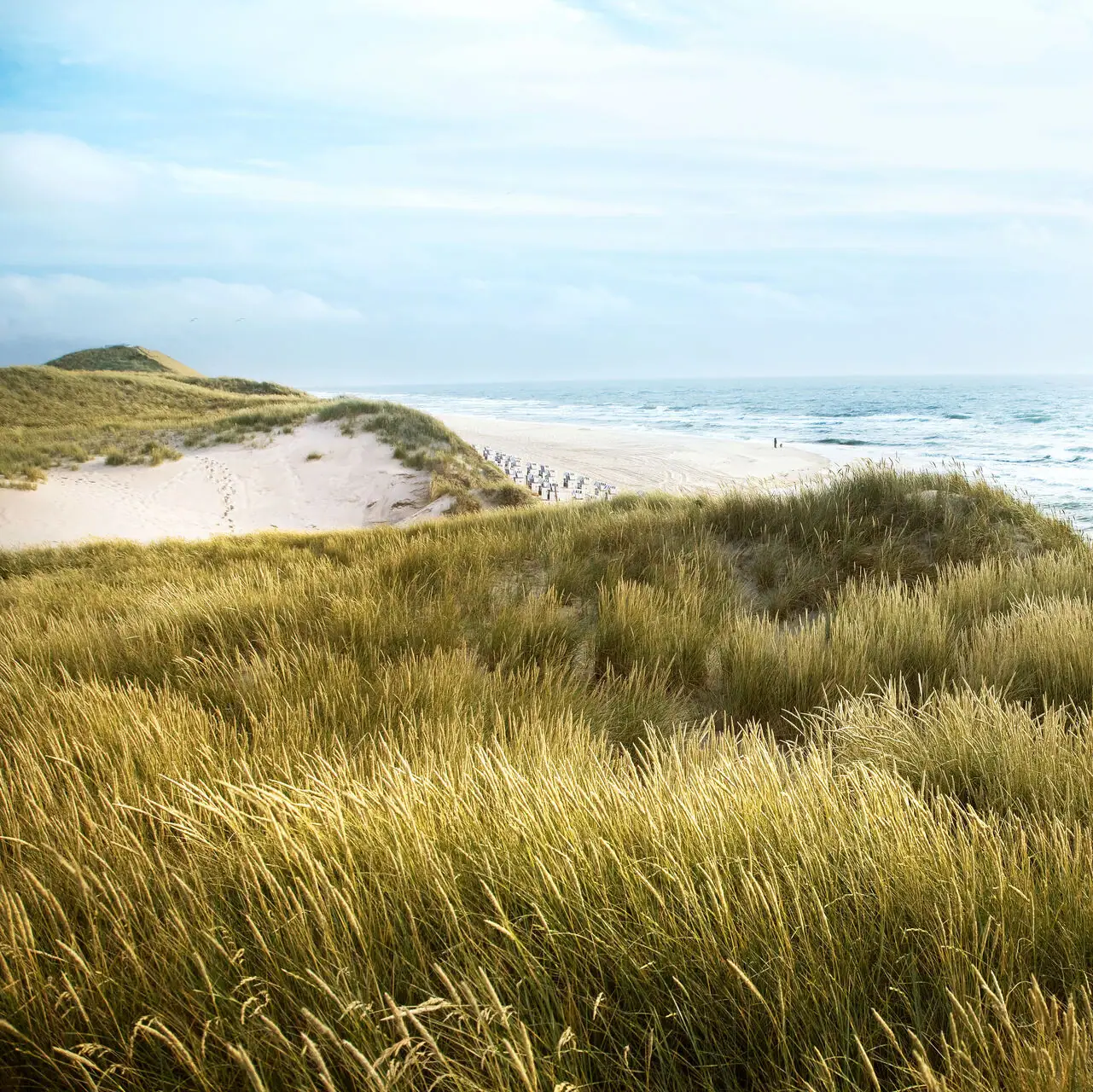 Grassy hill with sand dunes leading to a beach under a partly cloudy sky.