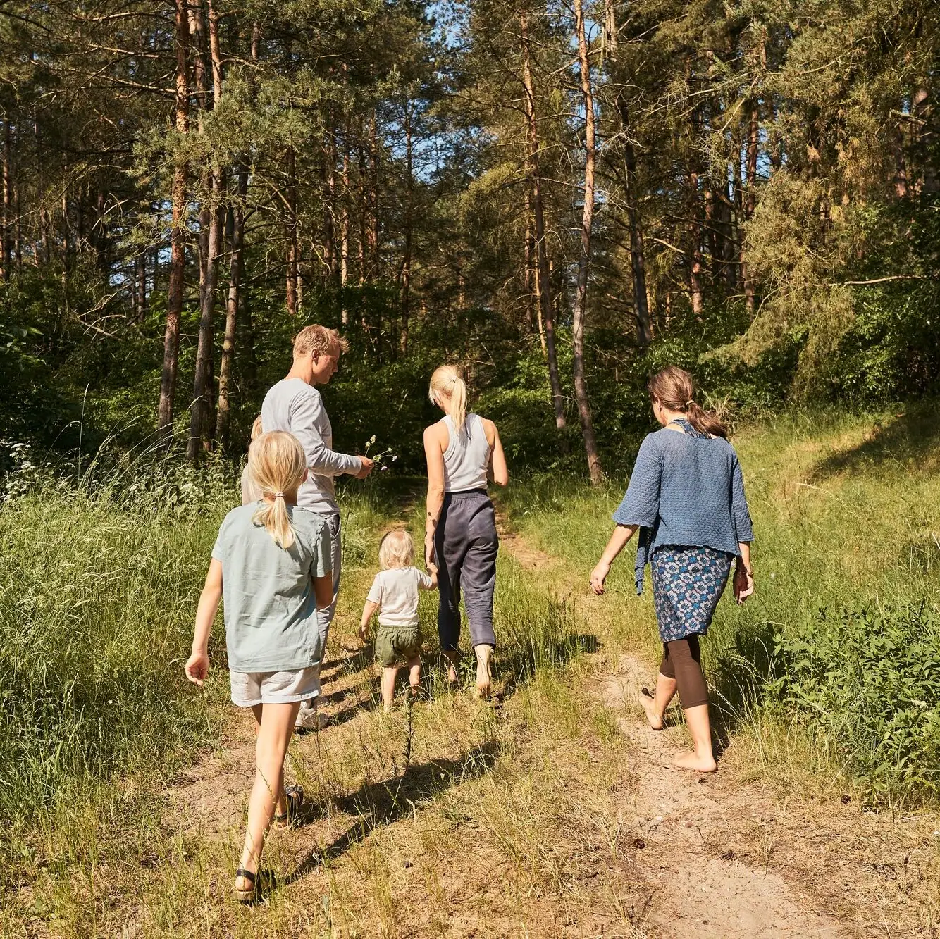 A group of people walking on a forest path.
